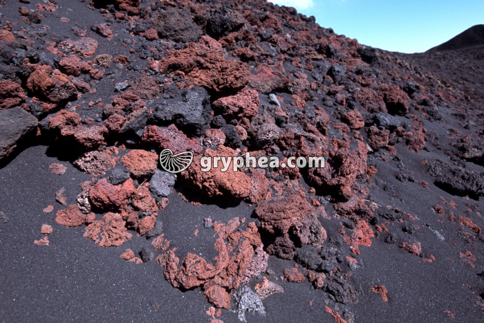 Scories - Lapilli (Etna, Sicile) - gryphea.org